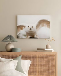 Wallity Artcanvas63 Lienzo Decorativo Multicolor 40x60 cm